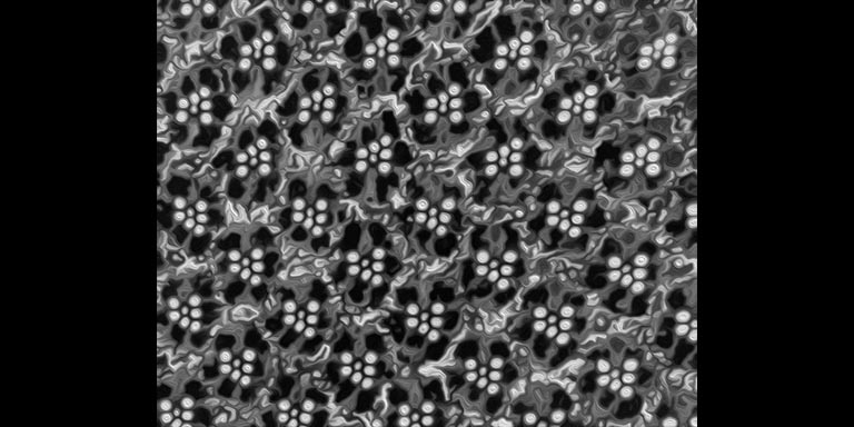 Light microscope image (inverse halftone) of the photoreceptor layer of the Drosophila adult retina.